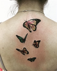 tatuajes de animales mariposas
